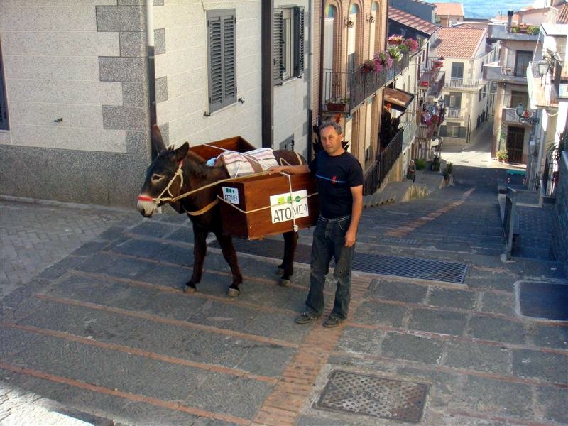 Malvagna, separate waste collection with donkeys